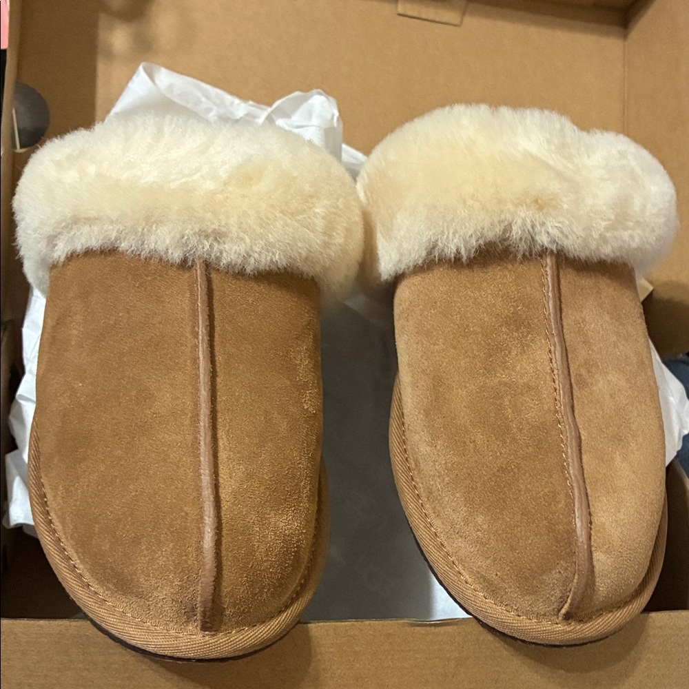 Women’s 7 Ugg Scuffette II BNIB